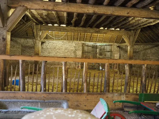 Openluchtmuseum Bokrijk (België)